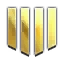 ( 30 Seviye ) Enf Gold